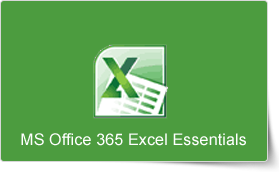 Microsoft Office 365 Excel Essentials - Online Instructor-led Training