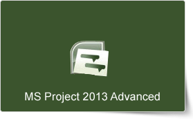 Microsoft Project 2013 Advanced