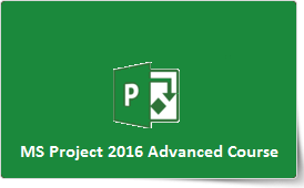 Microsoft Project 2016 Advanced Training