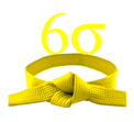 Lean six sigma yellow belt logo